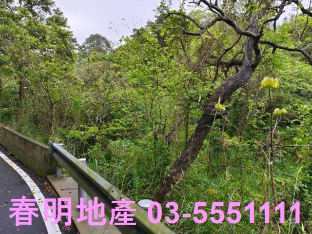 新竹農地-3