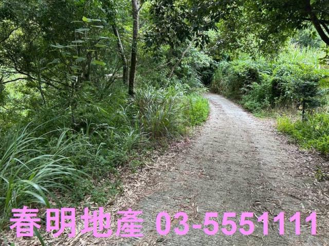 新竹峨眉農地-9