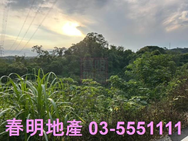 新竹峨眉農地-11