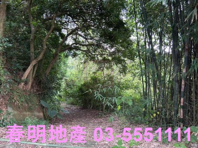 新竹峨眉農地-1