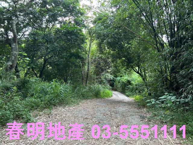 新竹峨眉農地-2