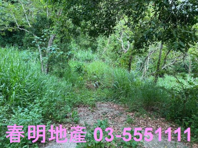 新竹峨眉農地-4