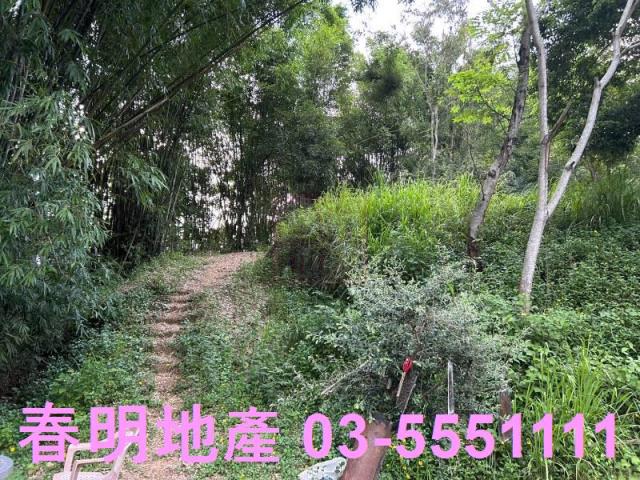 新竹峨眉農地-8