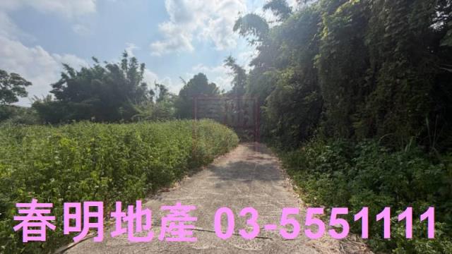 新埔農地-9