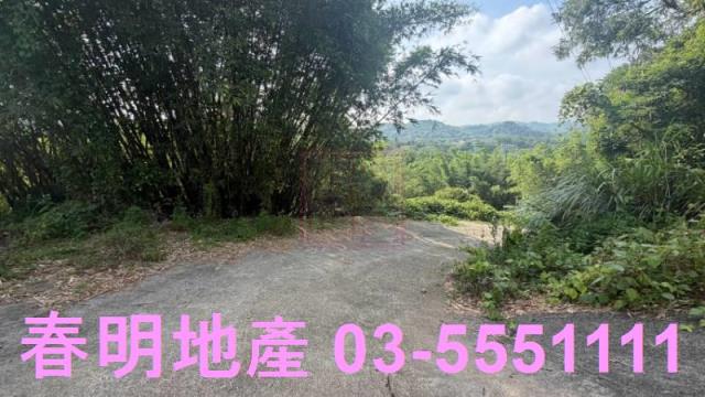 新埔農地-0
