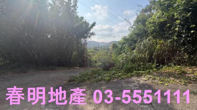 新埔農地-2