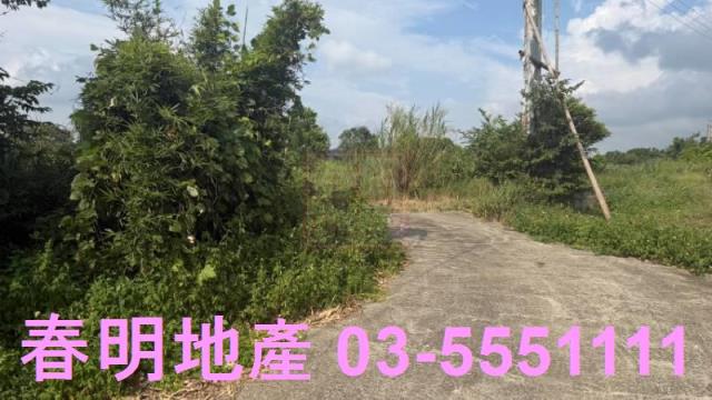 新埔農地-3