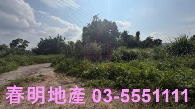 新埔農地-5