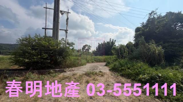 新埔農地-6