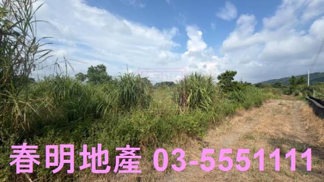 新埔農地-7