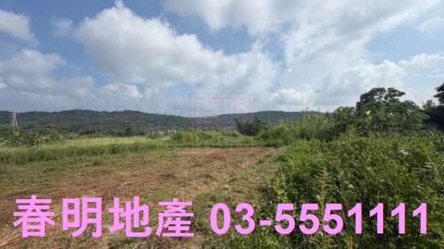 新埔農地-8