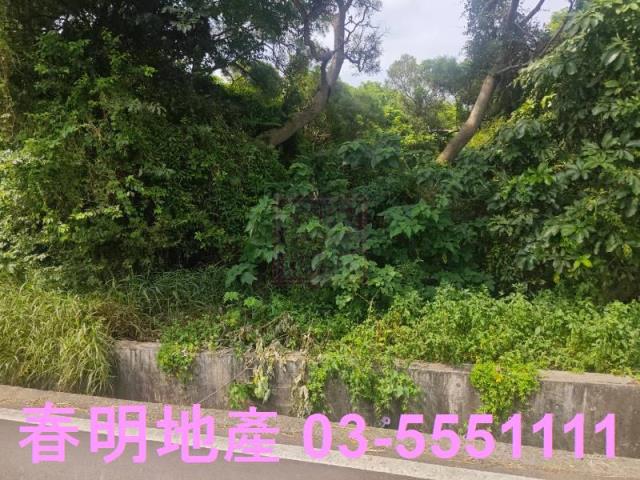 新竹竹東農地-3