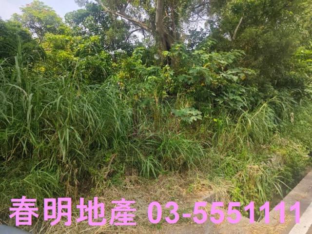 新竹竹東農地-5