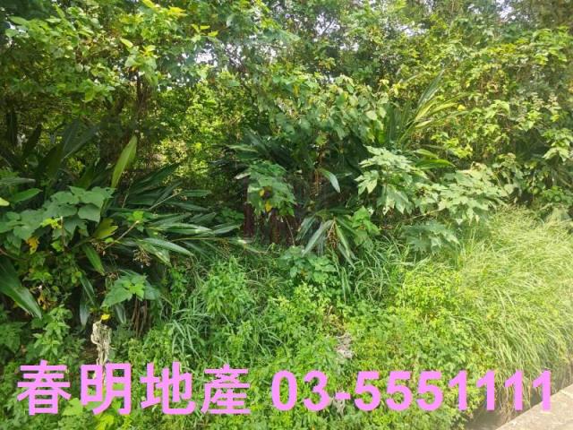 新竹竹東農地-6