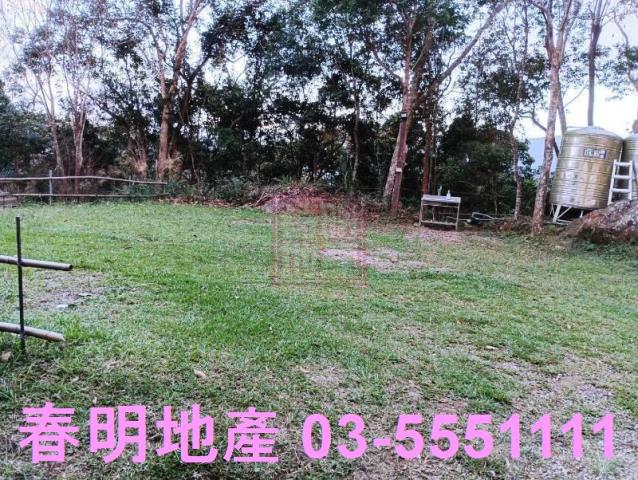 新竹尖石林地-9
