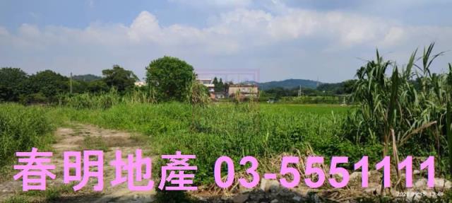 新竹新埔農地-3