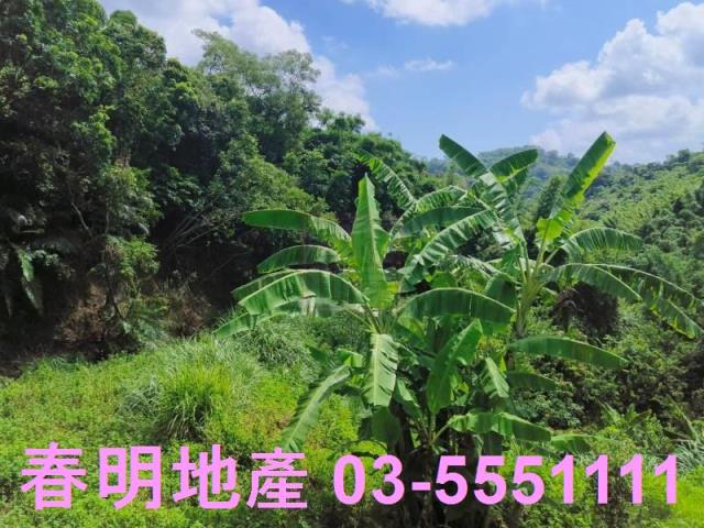 寶山農地-9