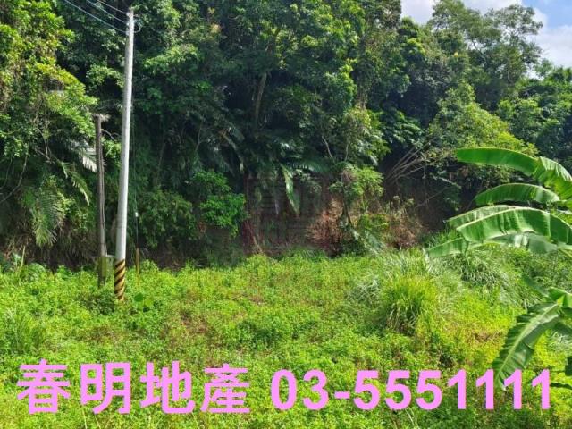 寶山農地-13