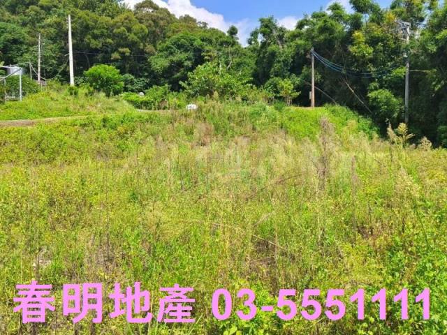 寶山農地-0