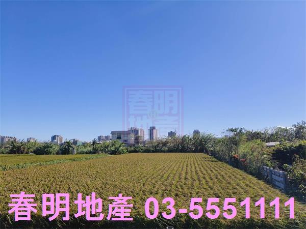 北區農地-6