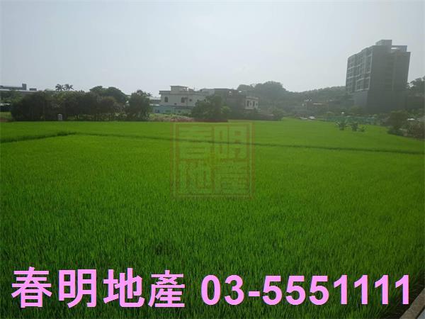 竹北農地-0