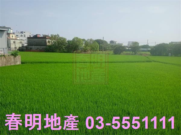 竹北農地-2