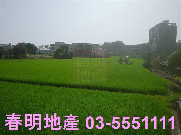 竹北農地-4