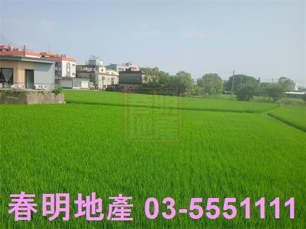 竹北農地-5