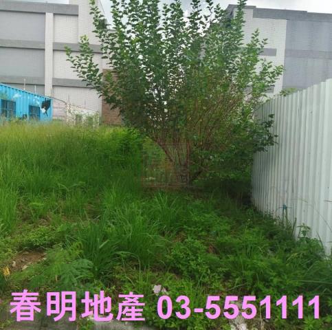 新竹新埔建地-0