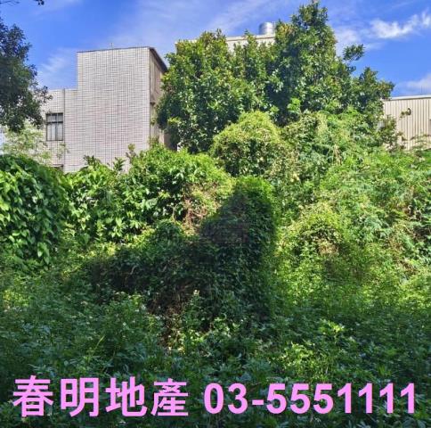 湖口建地-12
