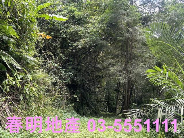 新竹橫山農地-0