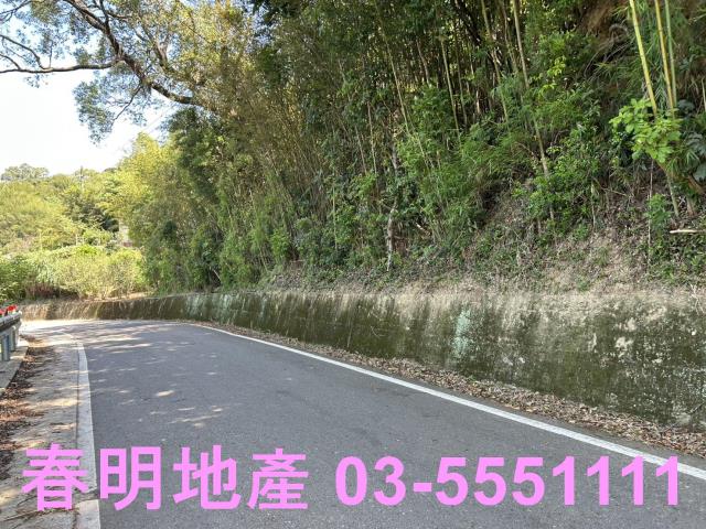 新埔休閒地-9