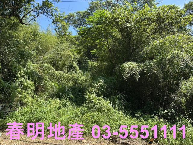 新埔休閒地-10