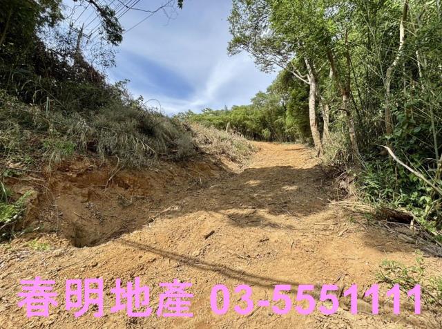新埔休閒地-0