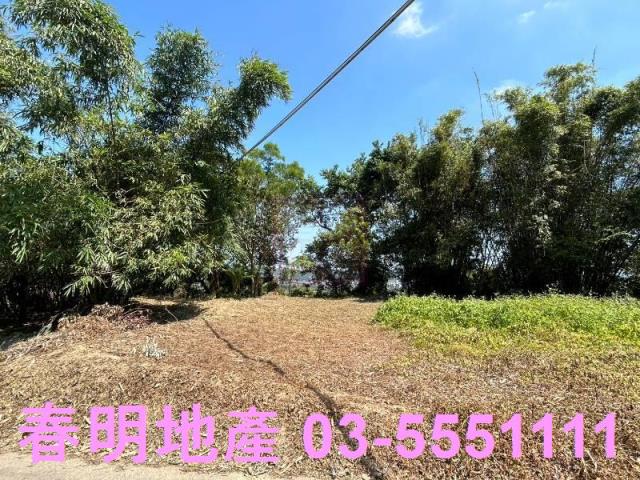 新竹竹東道路地-9