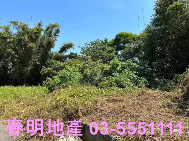 新竹竹東道路地-8