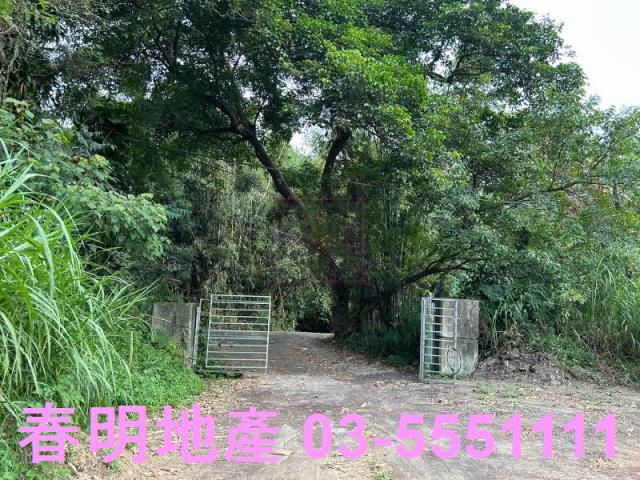 新竹農地-3