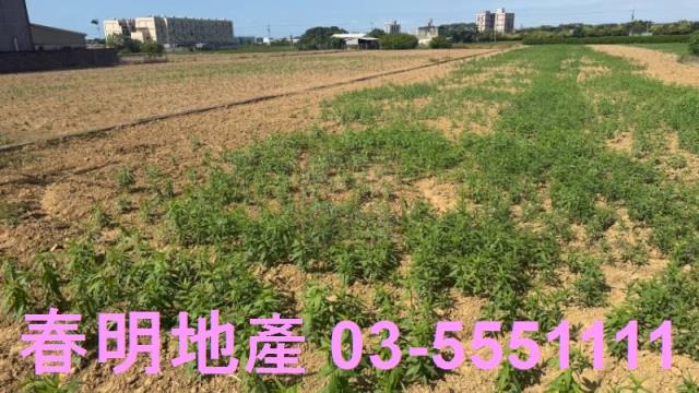 新竹農地-4