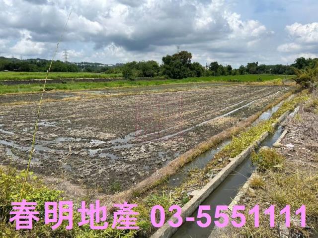 新竹芎林農地-1